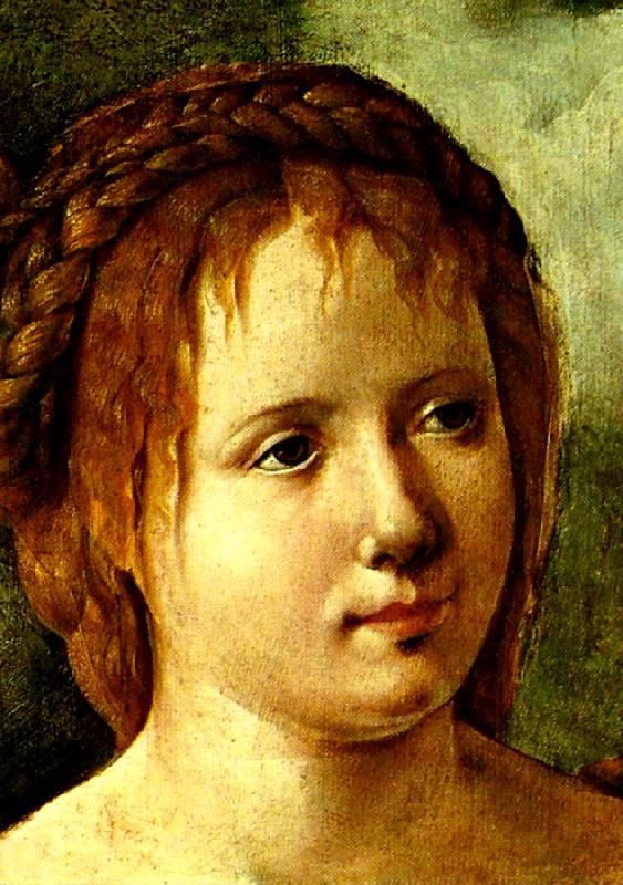 Jan van Scorel huvud av ung flicka France oil painting art
